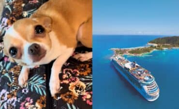 chihuahua cruise ship