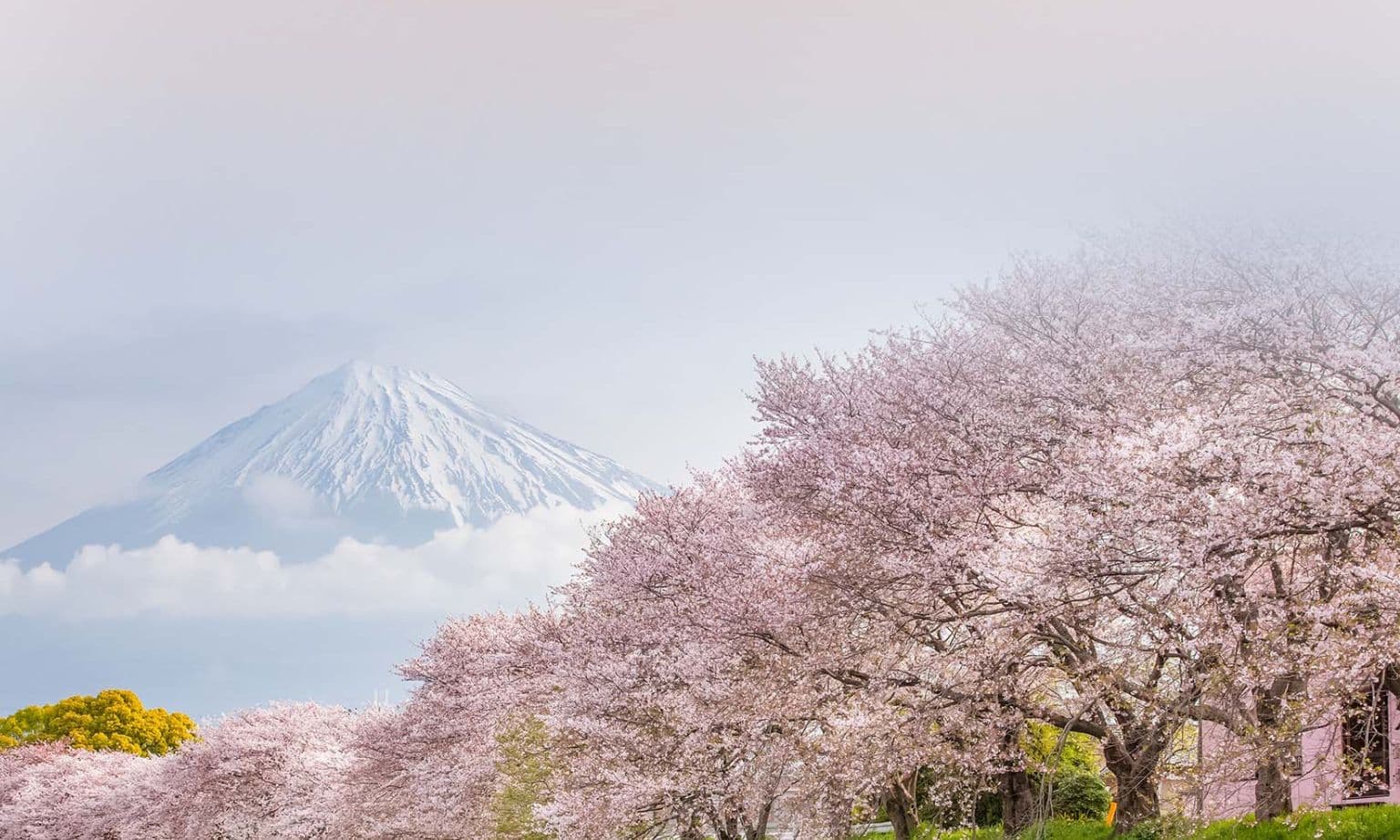 Mount Fuji in Japan