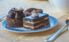 Chocolate cakes on a plate