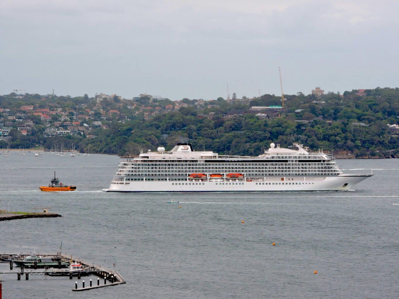 cruise ship sailing through sydney