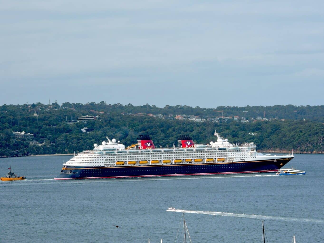 cruise ship sailing through sydney