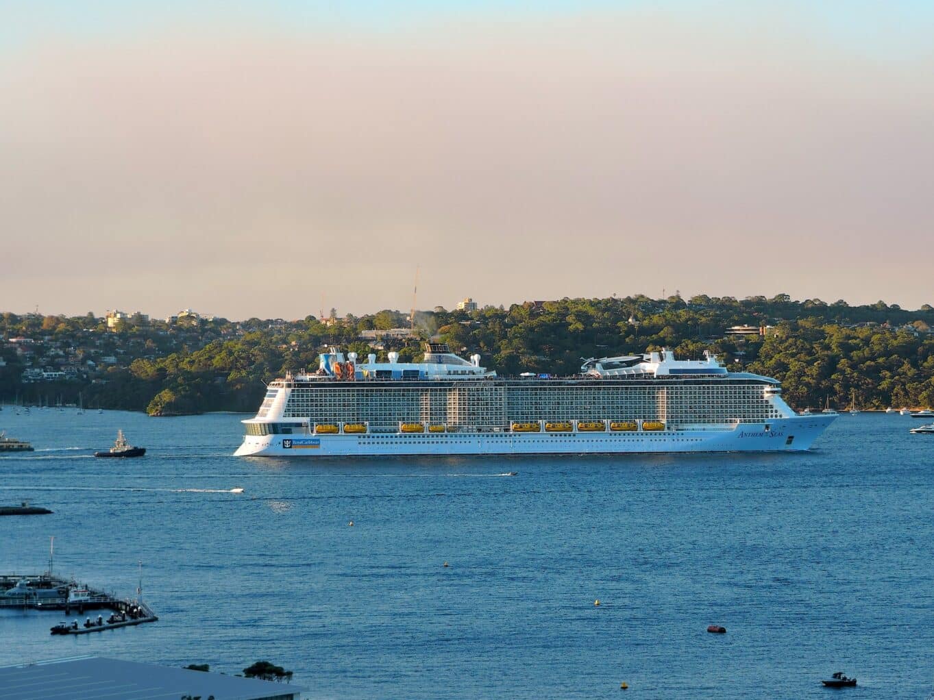 cruise ship sailing through sydney