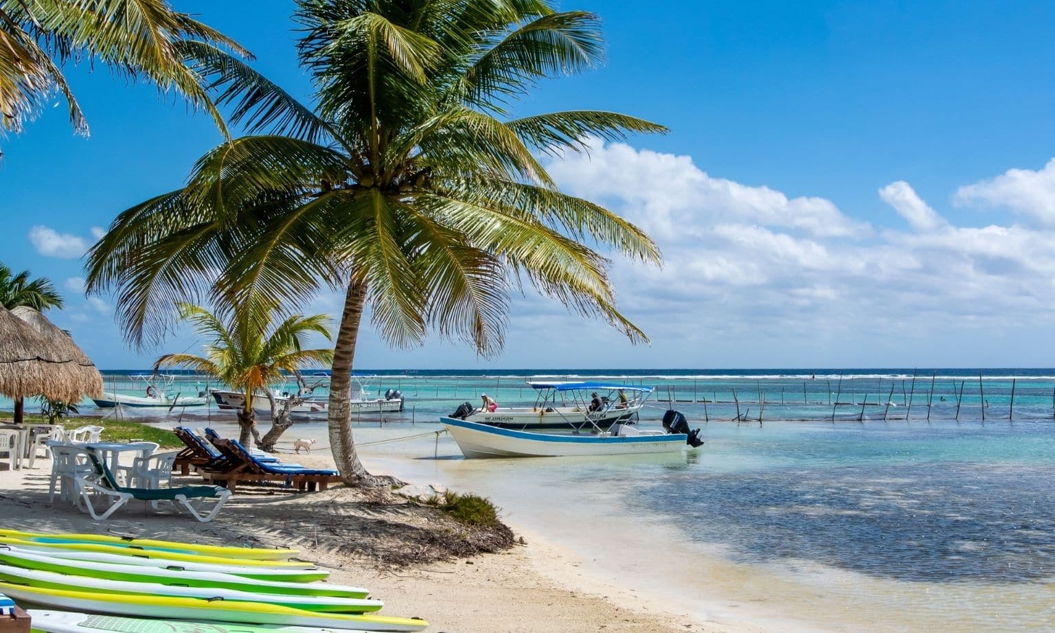 A tropical beach with surfboards, palm trees, small boats and white sand