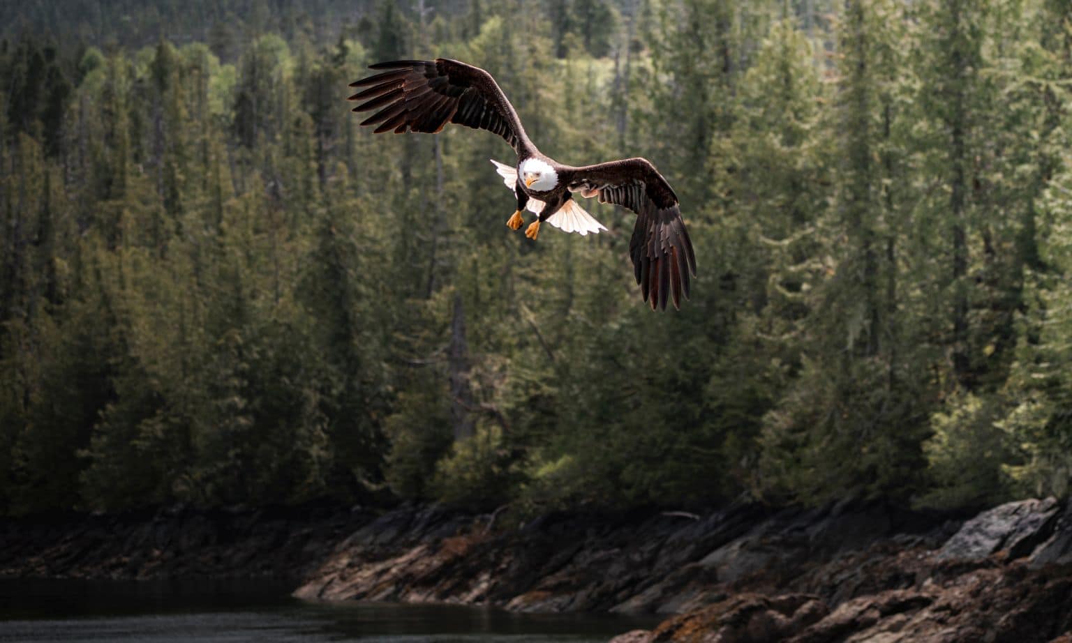 alaska cruise photo