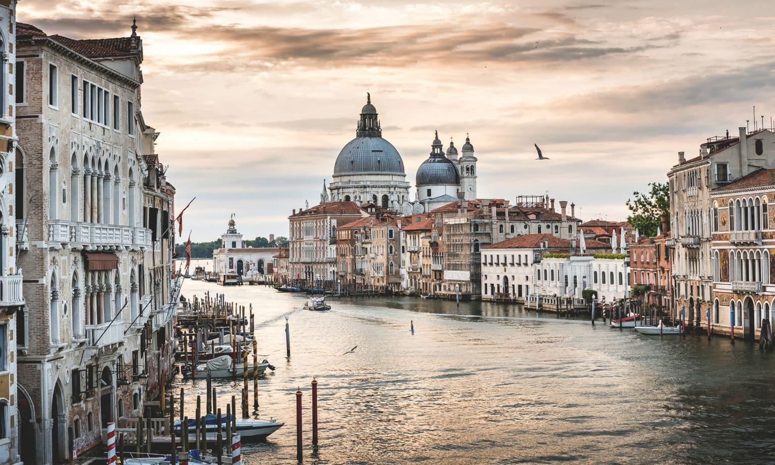 The canals of Venice