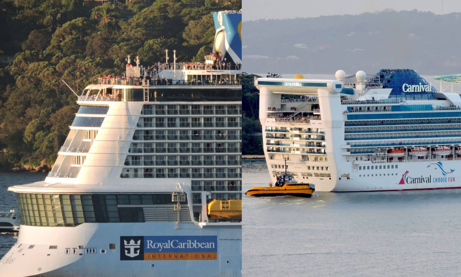 royal caribbean and carnival