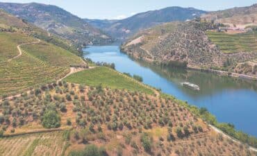 MS Estrela on the Douro