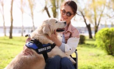 service dog with women
