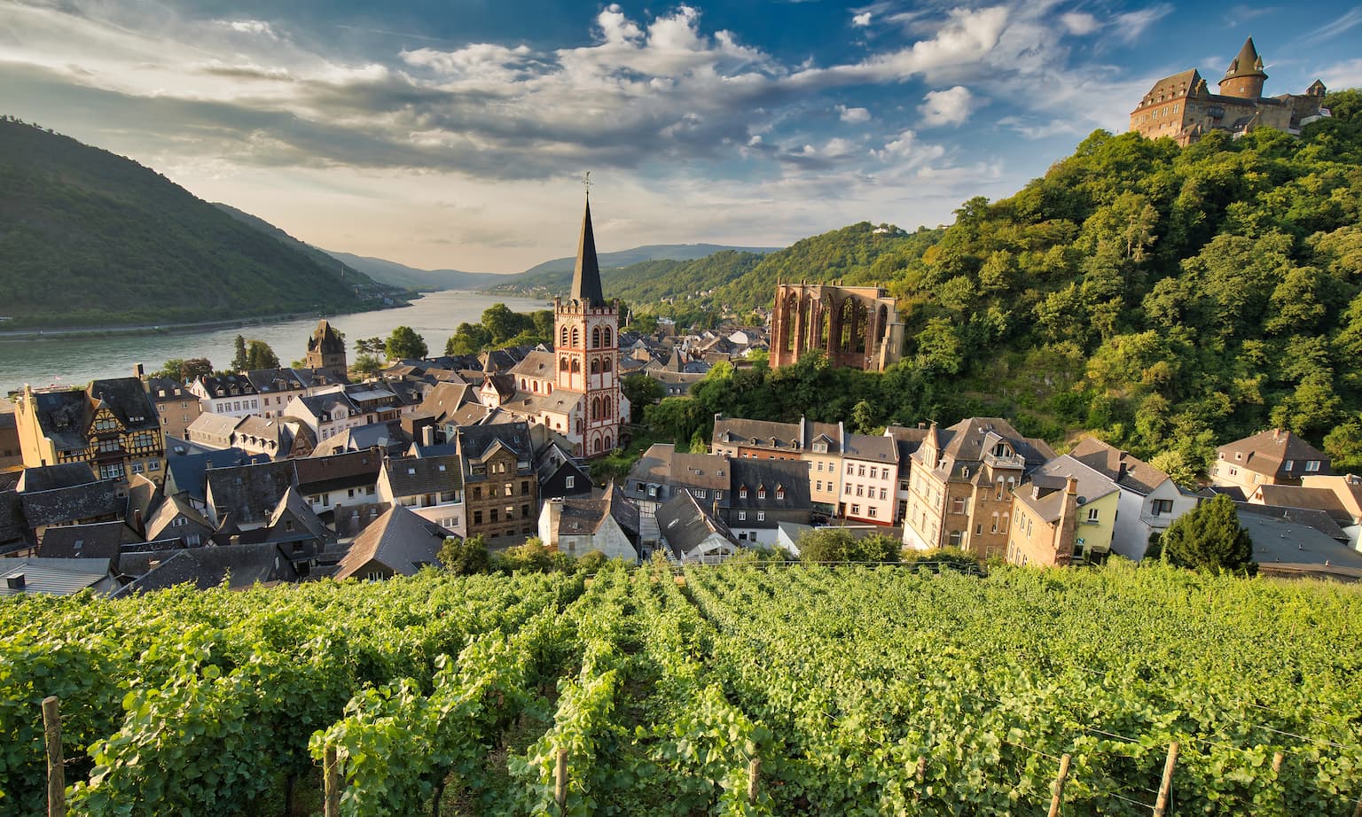 Scenic village with vineyards and river.