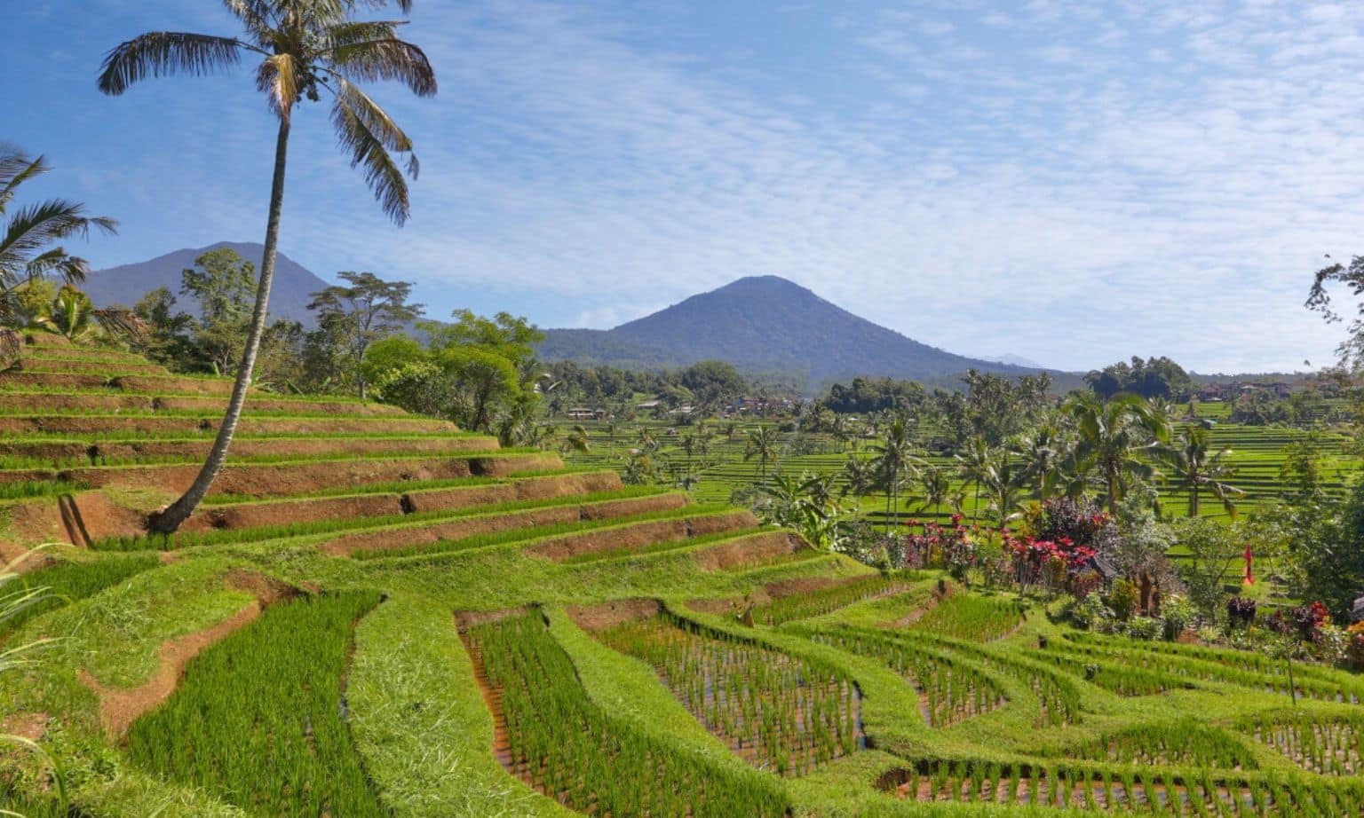bali landscape